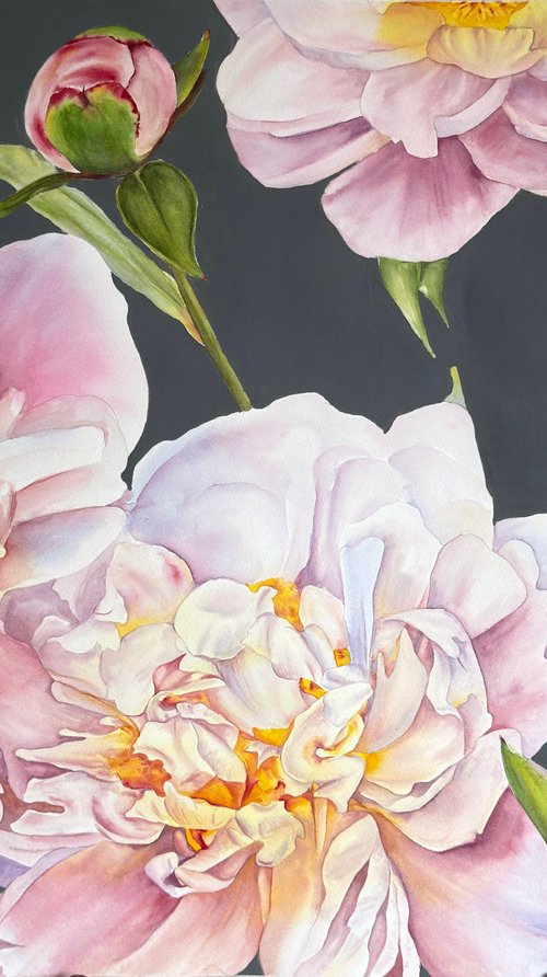 Inner Gardens by Anna Lyashenko