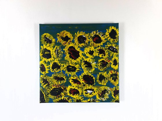 Blooming sunflowers 4