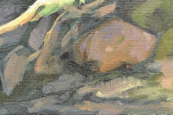 Morning Light On The Sumène