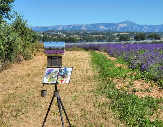 Lavender at la Silve