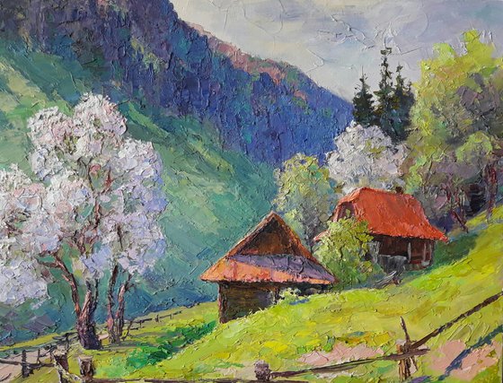 Spring in the Carpathians