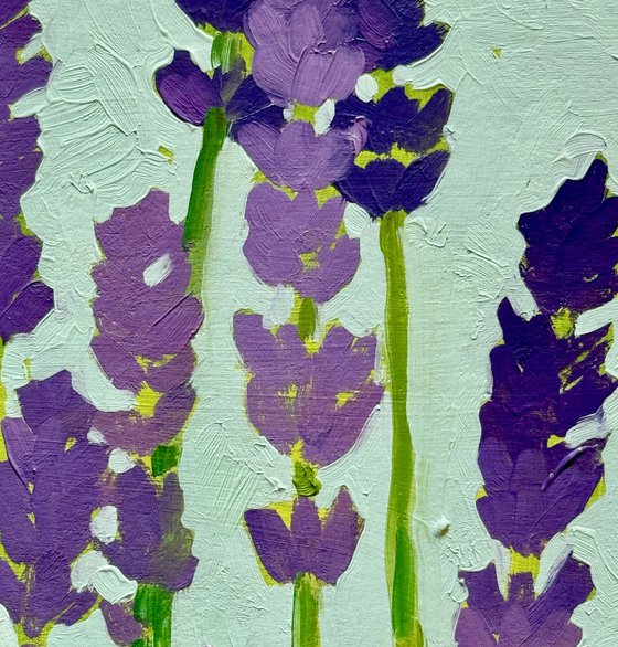 Lavender