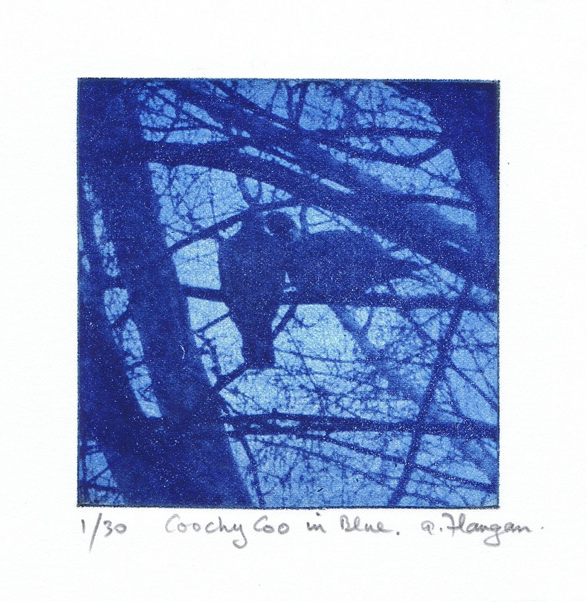 Coochy Coo in Blue by Aidan Flanagan Irish Landscapes
