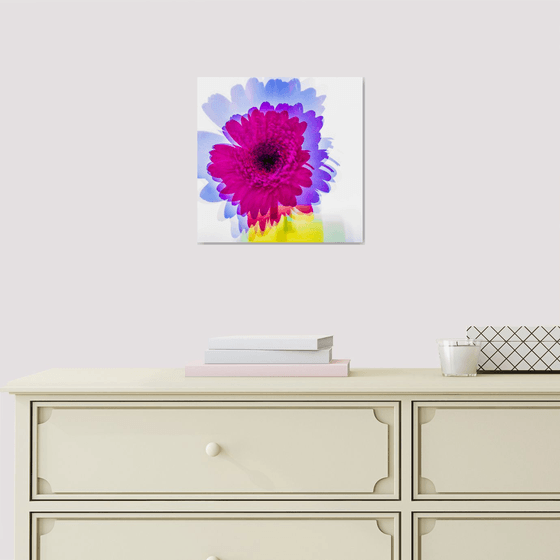 Psychedelic Flowers #6 Limited Edition 1/50 10x10 inch Photographic Print.