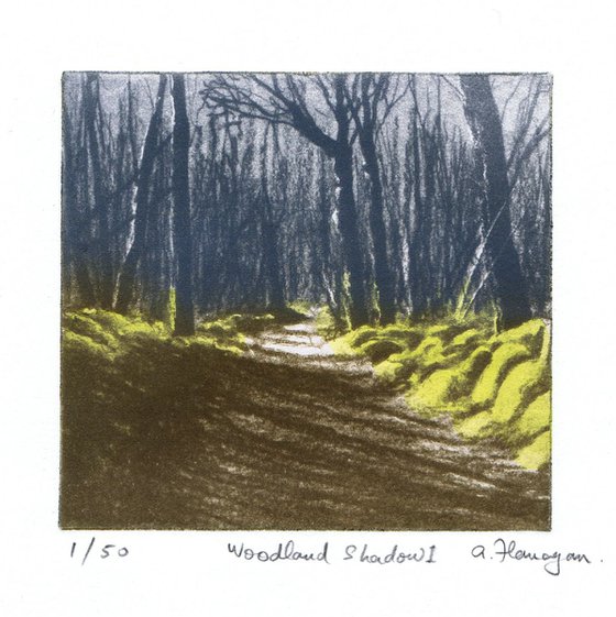 Woodland Shadow 1