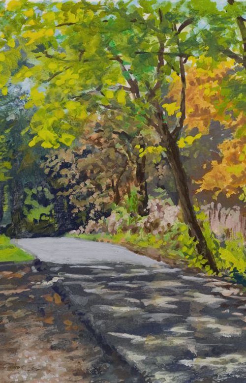 Harms Woods Path by John Fleck