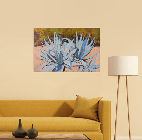 Blue Agaves