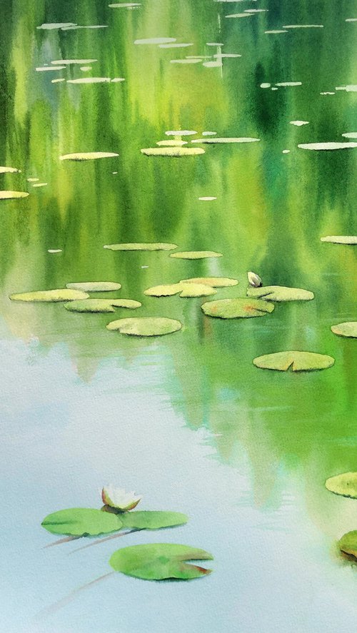 Water Lilies - Lily painting - by Olga Beliaeva Watercolour