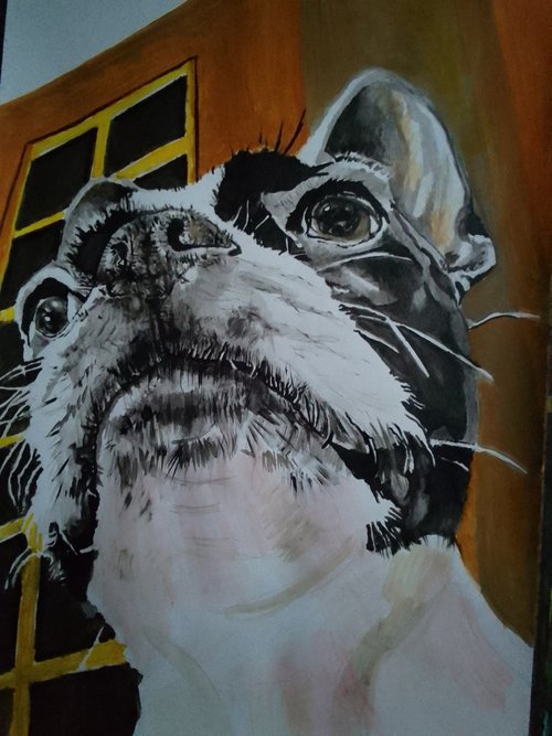 Bosston Terrier by Soso Kumsiashvili