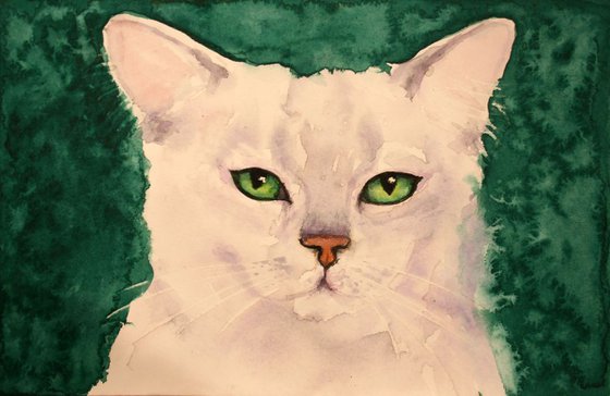 CAT PORTRAIT V / BURMILLA / ORIGINAL PAINTING