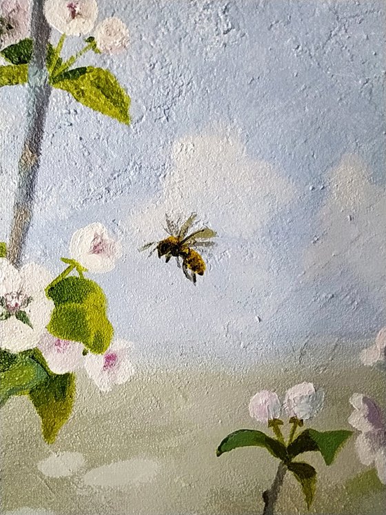 The apple trees are blooming