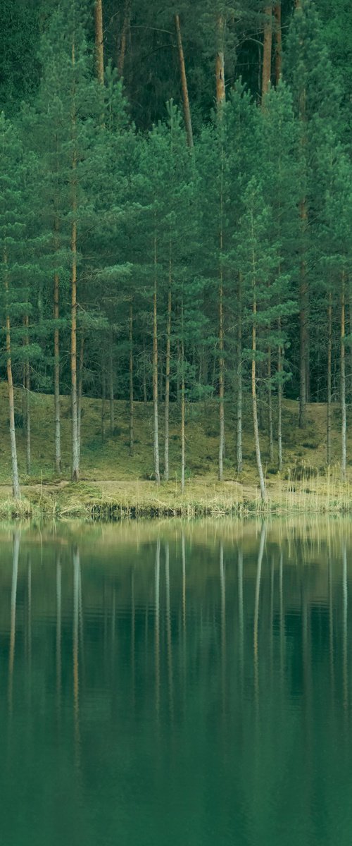 The Green Reflection by Kristine Okuneva
