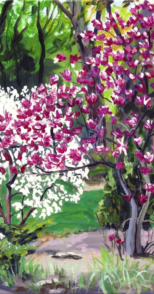Magnolia Bliss by Christina M Plichta