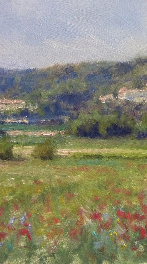 Poppies Field in The Luberon by Pascal Giroud