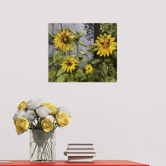 Sunflowers & Shed 2