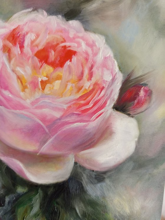 Tender Bloom