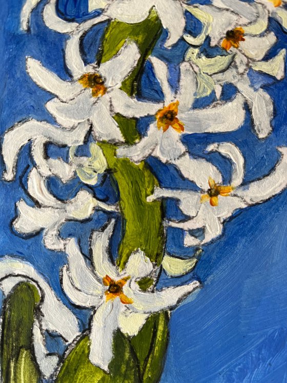 Blue Sky Hyacinth