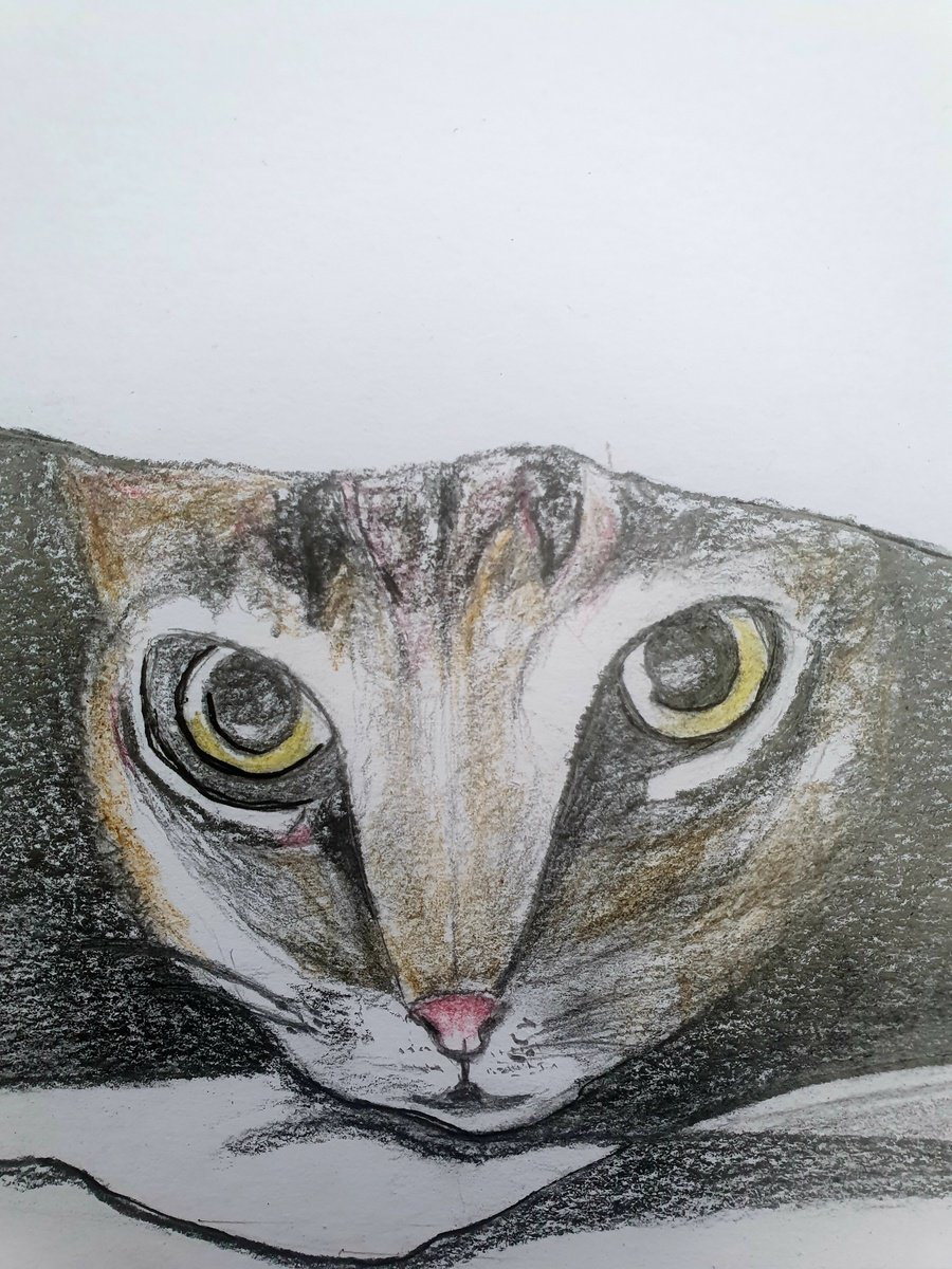 In the Darkness | Cat Drawing with Pencil and Charcoal A4 Size by Kumi Muttu