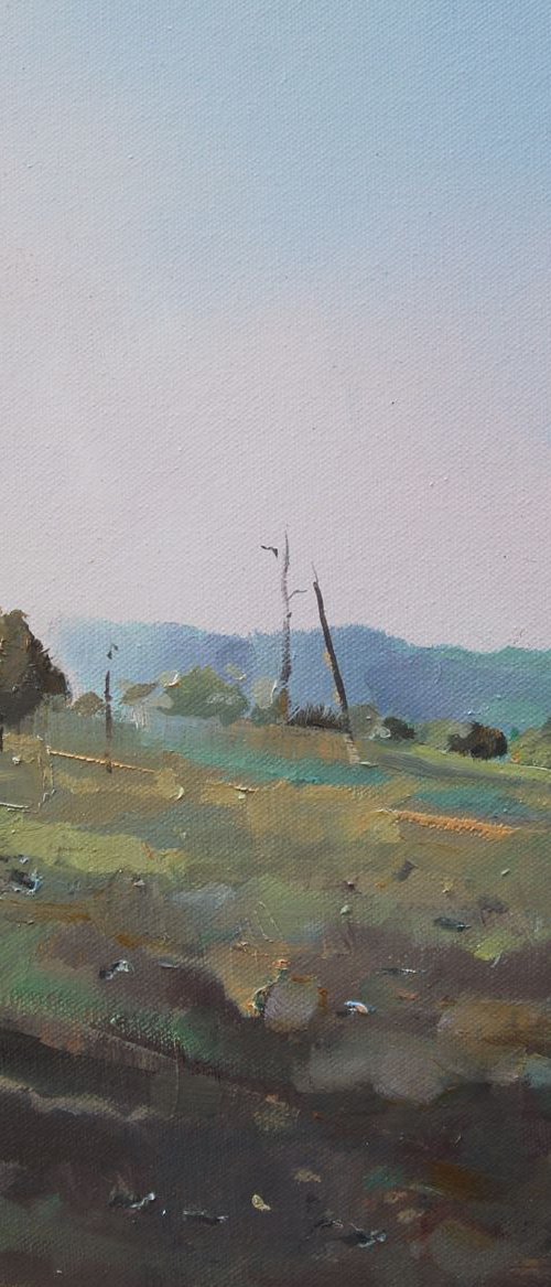Past glory. Tamborine Mountain by Trevor Salisbury