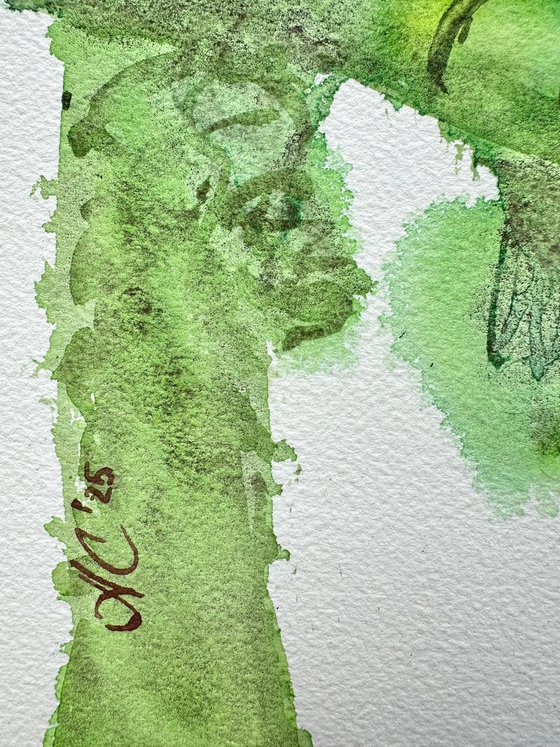 Birds: Toucan and Duck