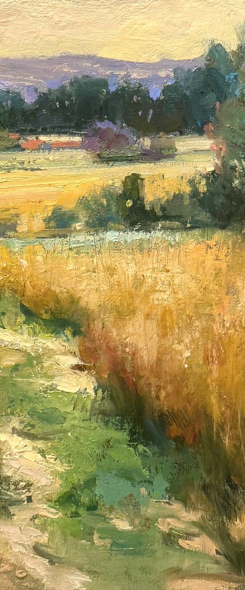 Gentle Divide by Emily Lane