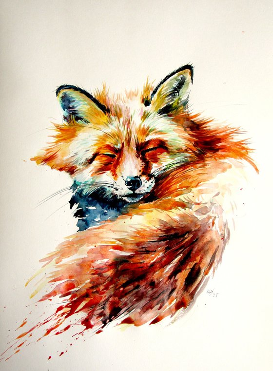 Sleeping red fox
