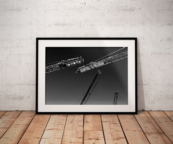 Cranes | Limited Edition Fine Art Print 1 of 10 | 45 x 30 cm