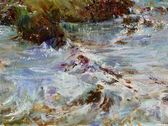 Forest Stream