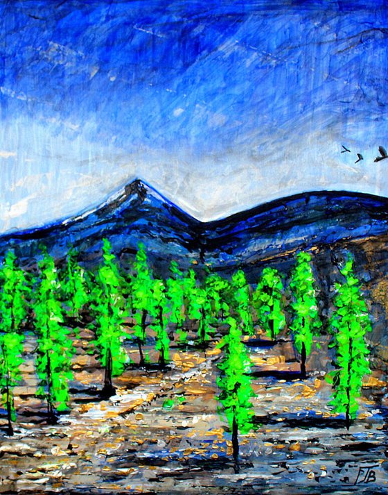 Teide-Tenerife