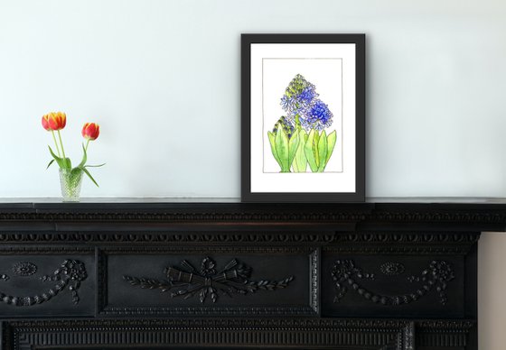 Hyacinth flowers mixed media illustration