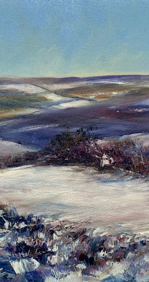 Winter Moor by Andrew Moodie