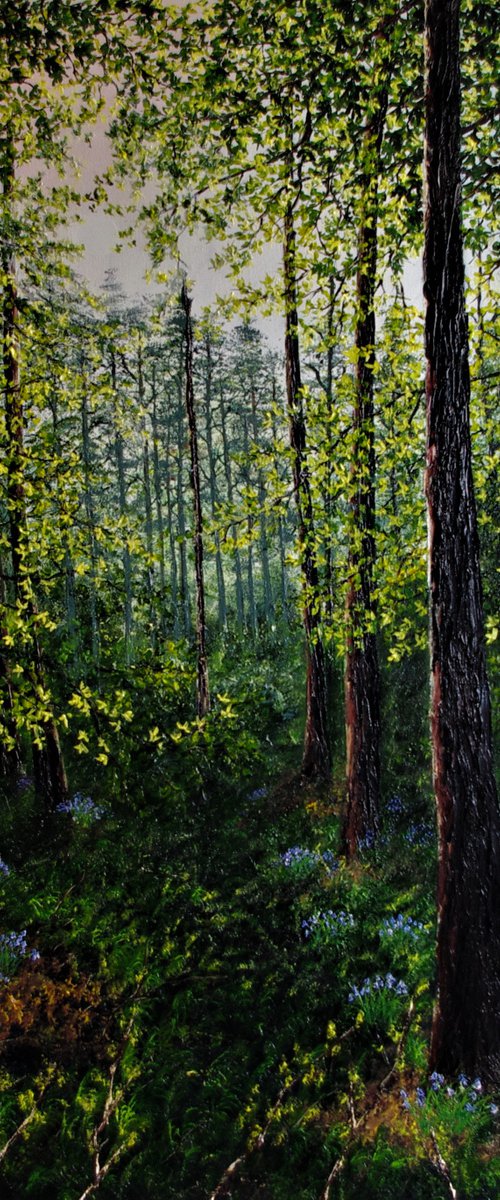 Deep Into Bluebell forest  92cm x 61cm by Hazel Thomson