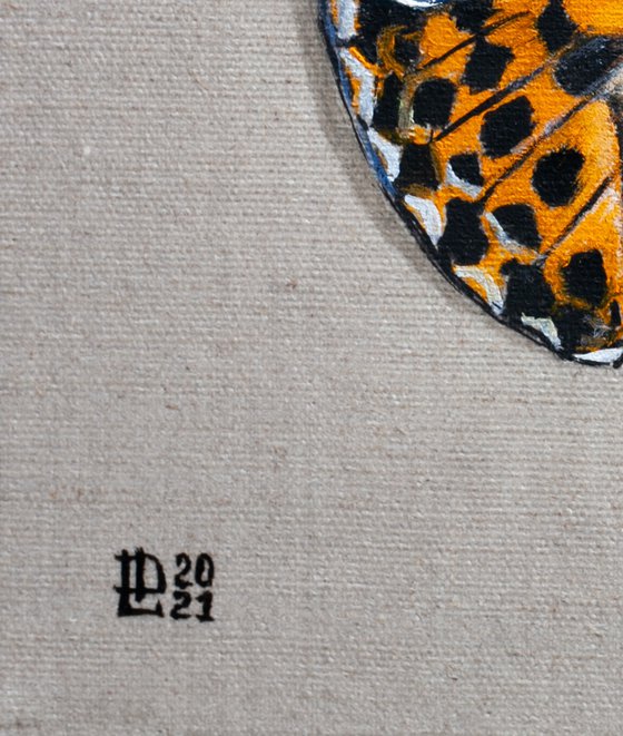 Butterfly