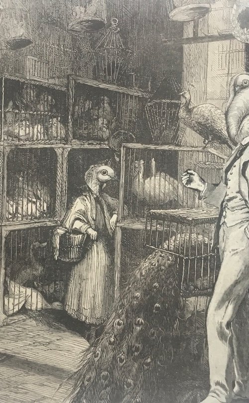 The poultry dealer by Tudor Evans