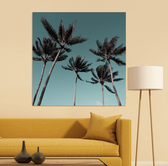 Palms