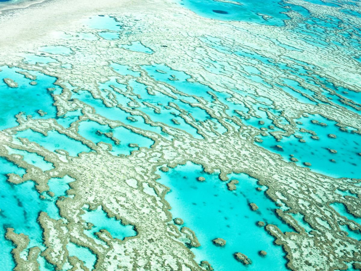 Natural Abstracts - Great Barrier Reef Number 6 by Ken Skehan