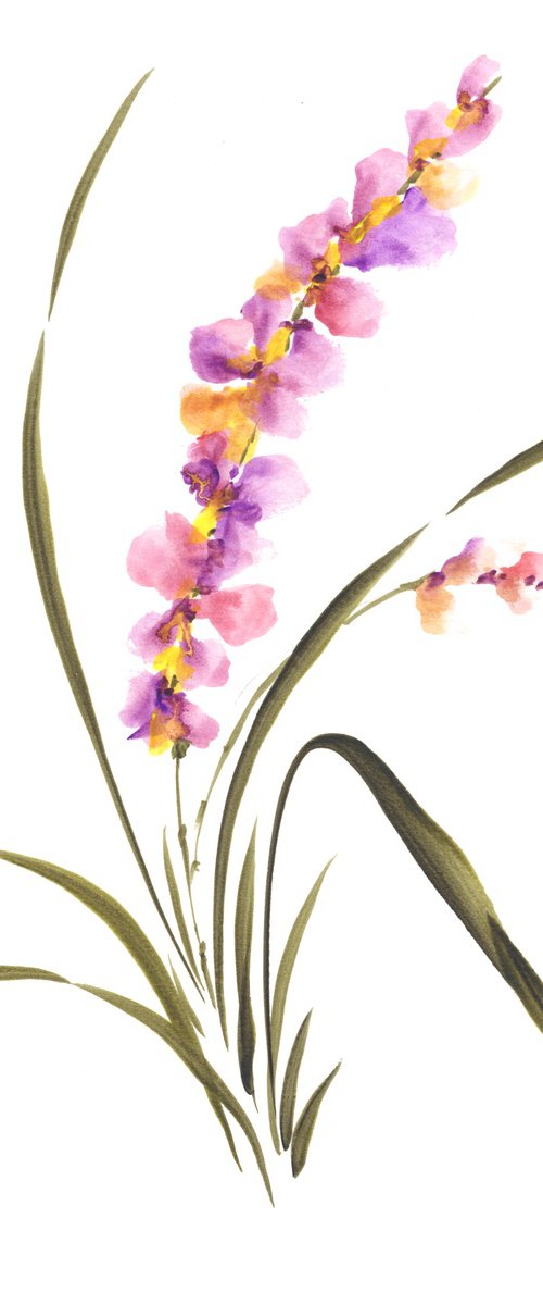 Lavender Orchid Grace by Hai Doan