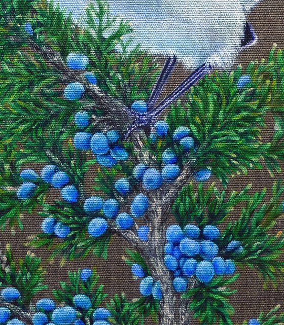 Juniper Watcher