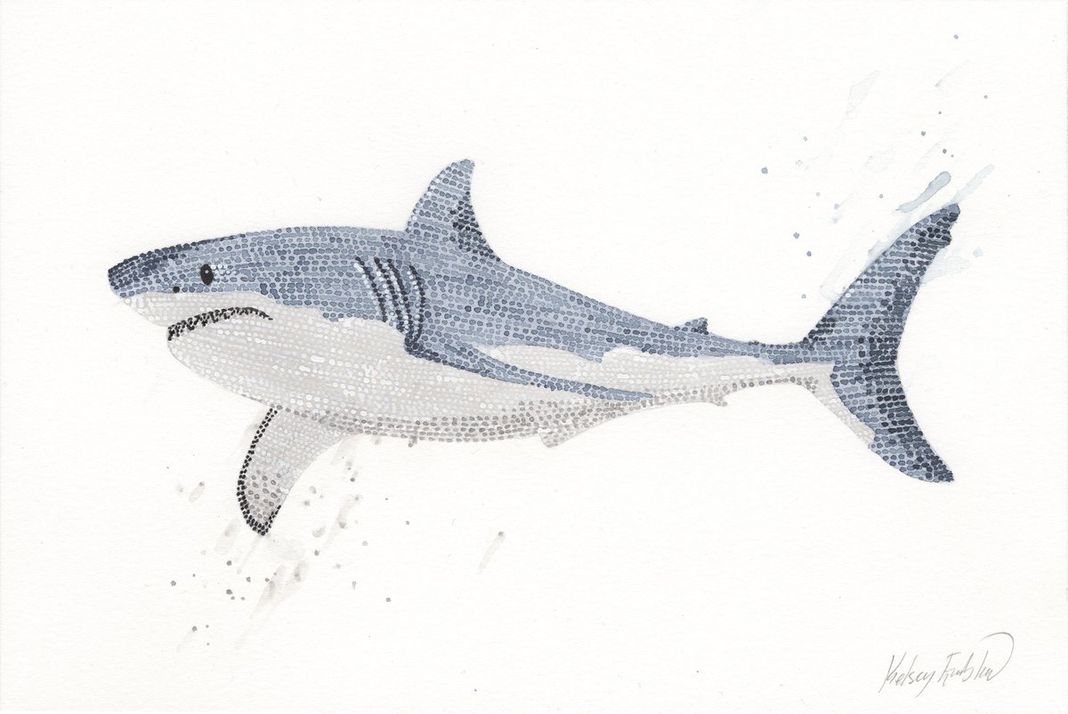 Original Great White Shark watercolour by Kelsey Emblow