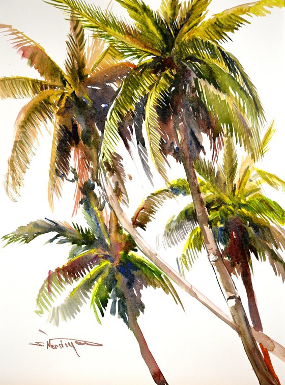 Coconut Palm Trees from Tropical Beach