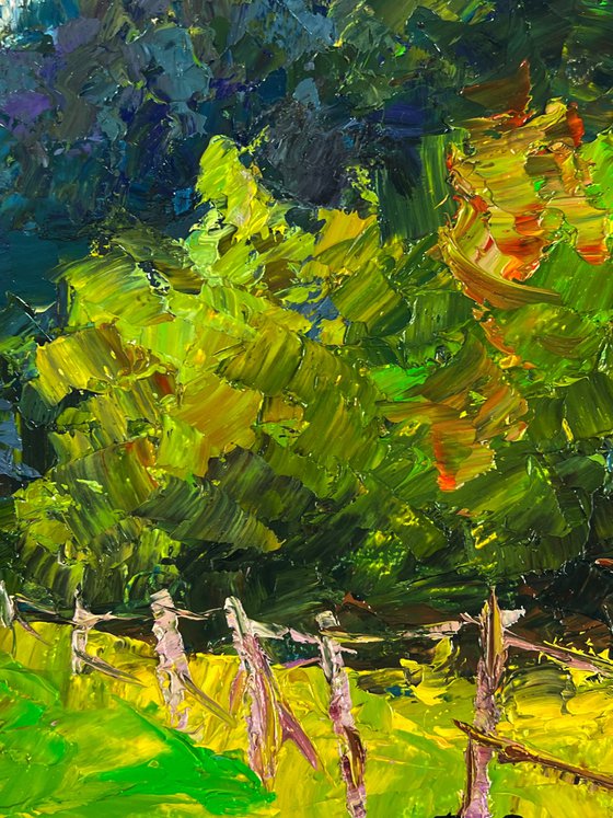 A Road along a Summer Forest