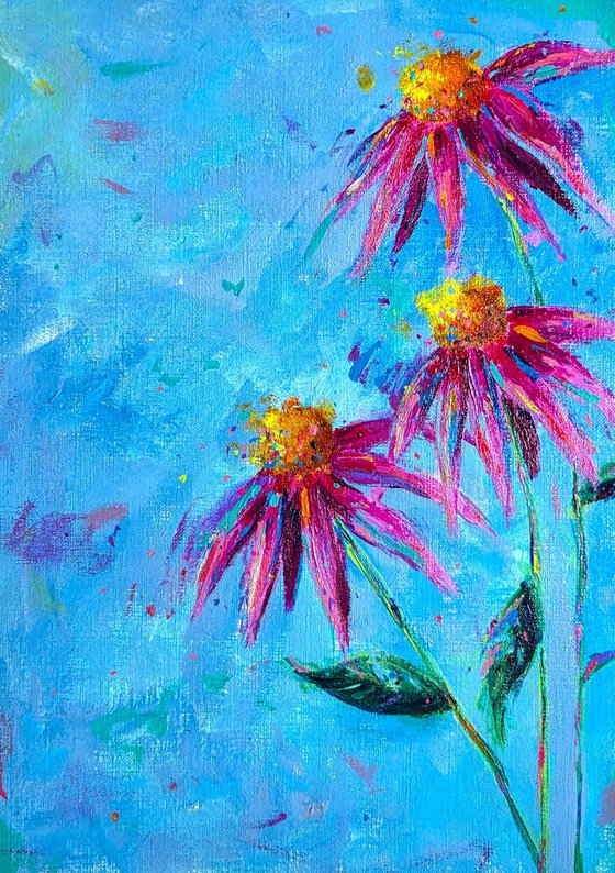 Echinacea