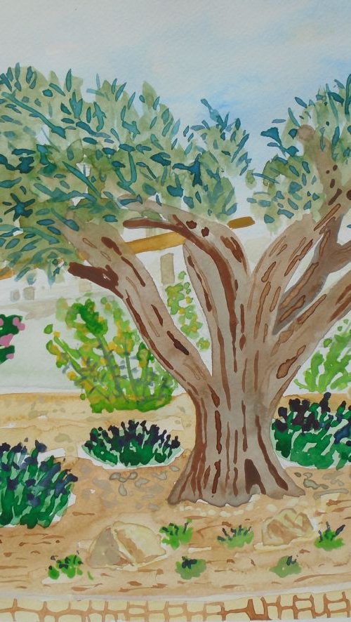 Olive tree in  Spanish Garden I by Kirsty Wain