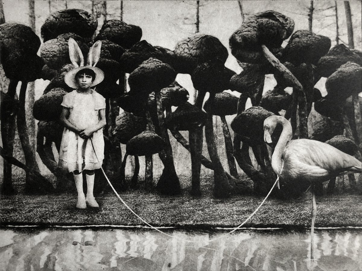 Surrealistic Portrait Etchings & Engravings By Jaco Putker, 13 X 10, Exterior No.40: Go Ask Alice, Original Artwork