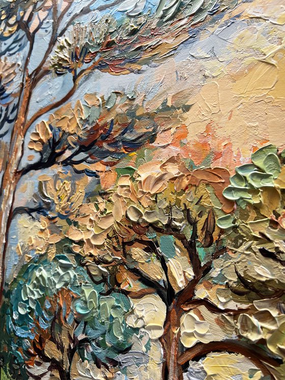 Coastal Pines