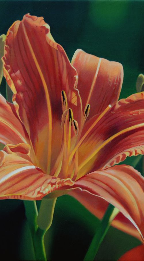 Hemerocalis, Flower painting by Valeri Tsvetkov