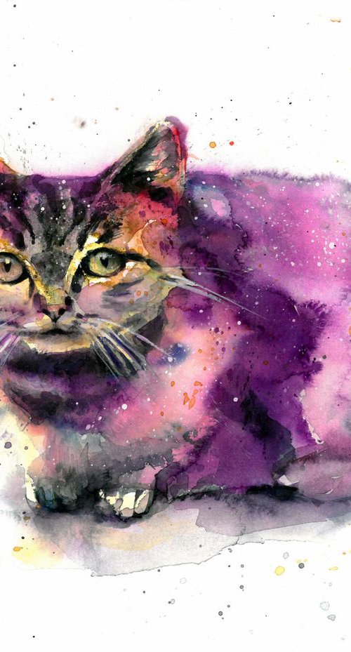 Cat by Andja Zivadinovic