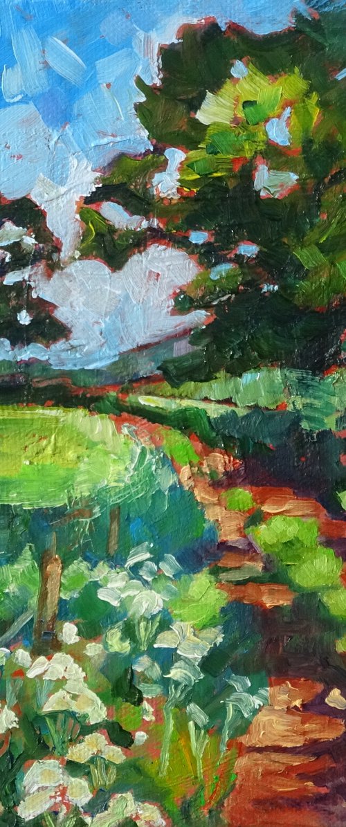 Willowbrook Farm Footpath by Mary Kemp
