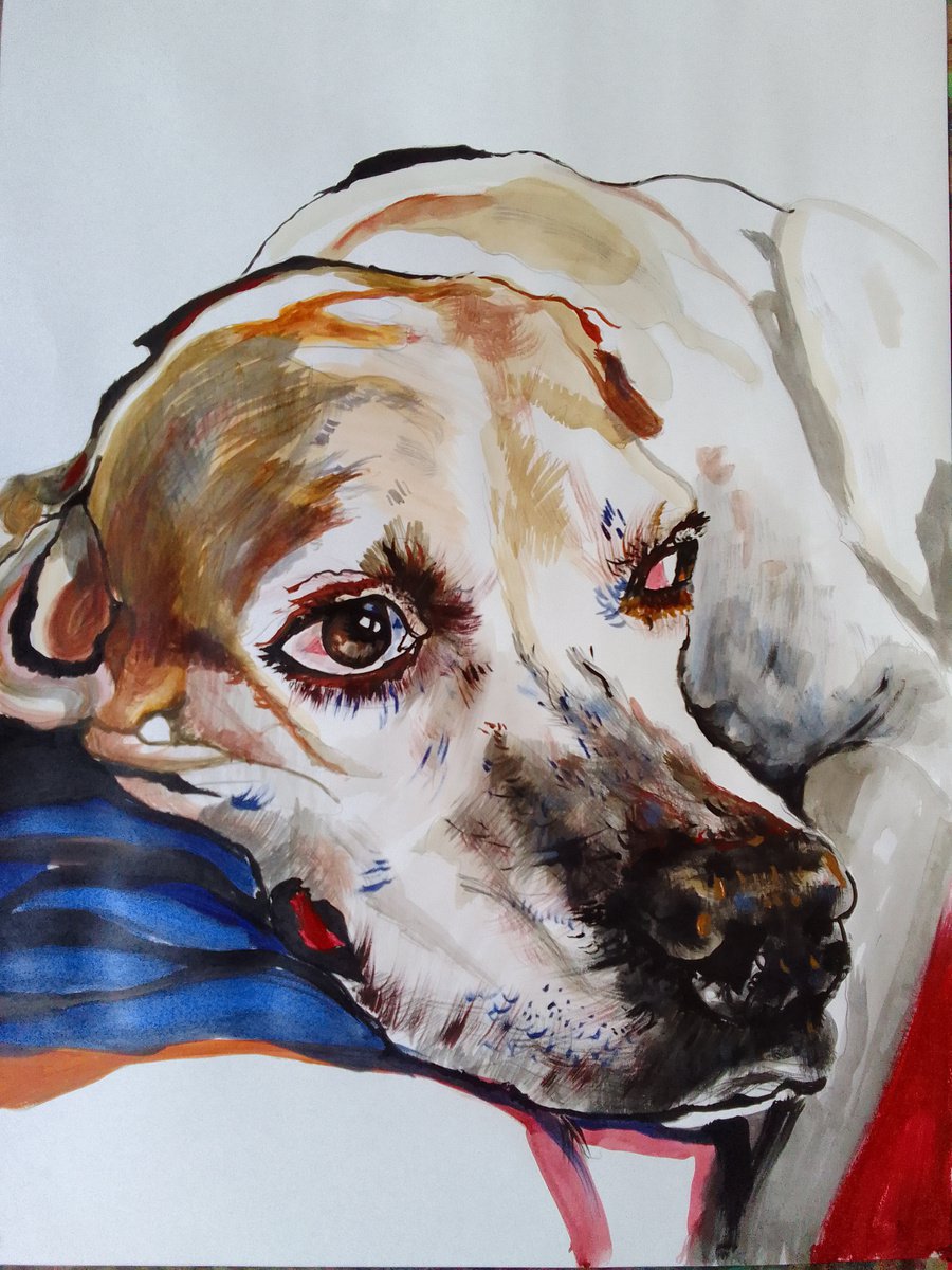 Photorealistic Animal Acrylic Painting By Soso Kumsiashvili, 24 X 33", Pointer Dog, Original Artwork
