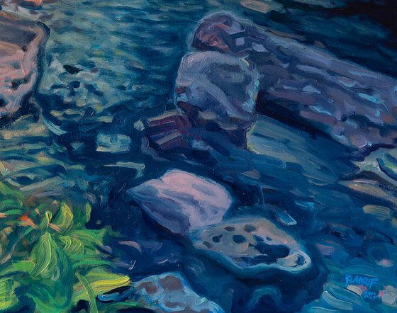 By the Mountain Stream
